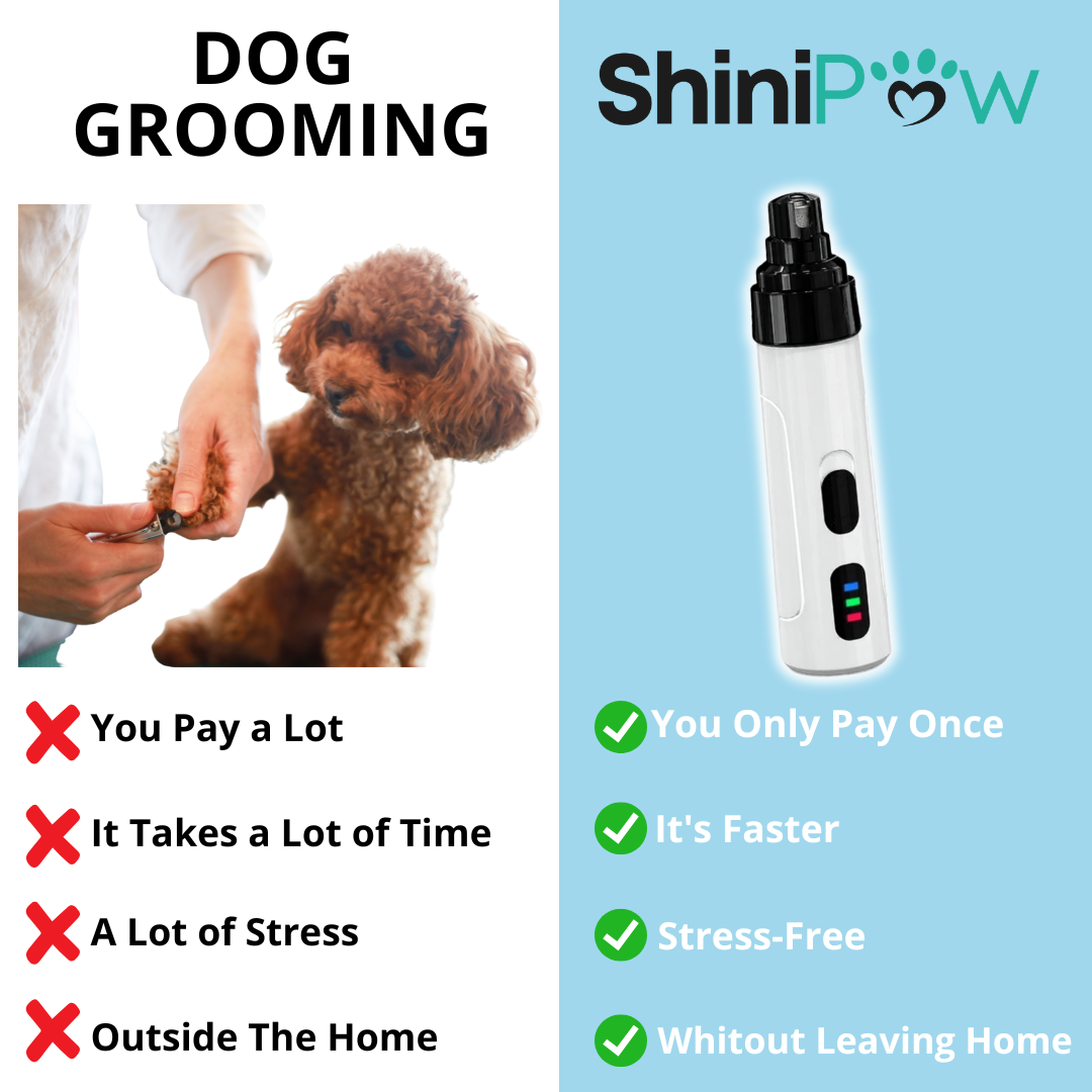 ShiniPaw™ Stress-Free Nail Care