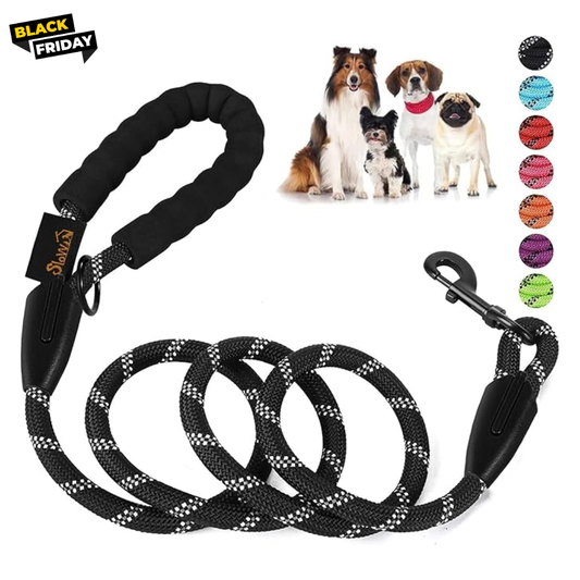 Walking Pet Leash